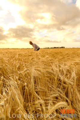 November 2019 / VITERRA_191112-8193