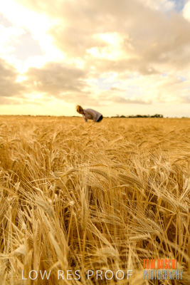 November 2019 / VITERRA_191112-8195