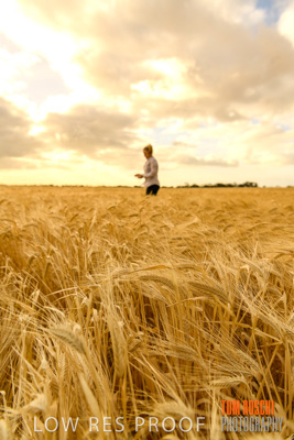 November 2019 / VITERRA_191112-8197