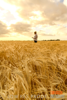 November 2019 / VITERRA_191112-8199