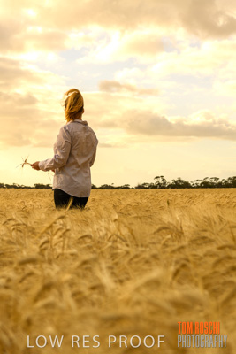 November 2019 / VITERRA_191112-8204