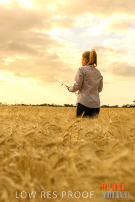 November 2019 / VITERRA_191112-8206