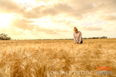 November 2019 / VITERRA_191112-8213