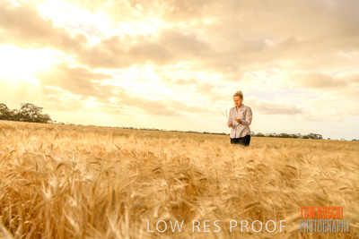 November 2019 / VITERRA_191112-8218