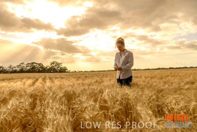 November 2019 / VITERRA_191112-8222