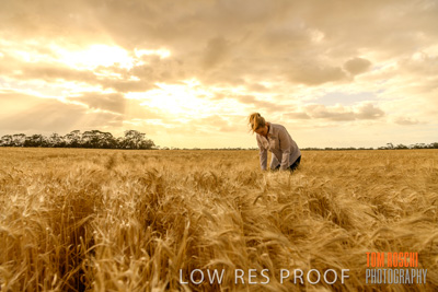 November 2019 / VITERRA_191112-8227