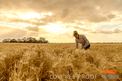 November 2019 / VITERRA_191112-8230