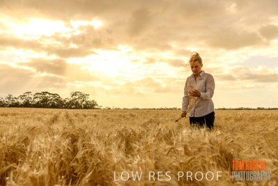 November 2019 / VITERRA_191112-8235