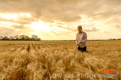 November 2019 / VITERRA_191112-8238