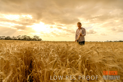 November 2019 / VITERRA_191112-8239