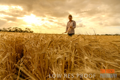 November 2019 / VITERRA_191112-8240