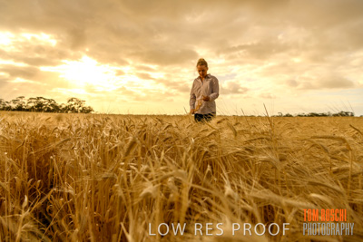 November 2019 / VITERRA_191112-8242