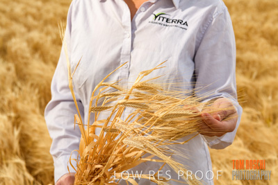 November 2019 / VITERRA_191112-8254