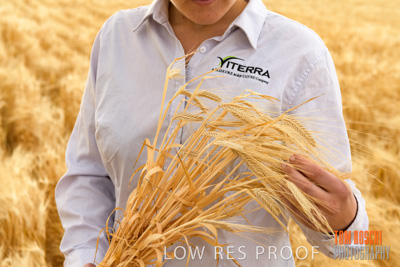 November 2019 / VITERRA_191112-8256