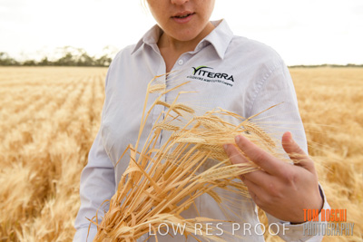 November 2019 / VITERRA_191112-8258