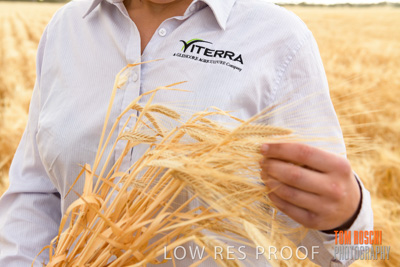 November 2019 / VITERRA_191112-8265