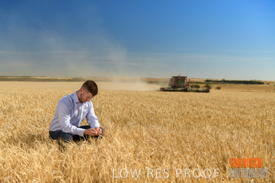 December 2019 / BARLEY_HARVEST_GERANIUM_191210_003
