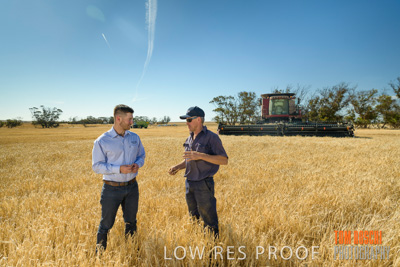 December 2019 / BARLEY_HARVEST_GERANIUM_191210_008