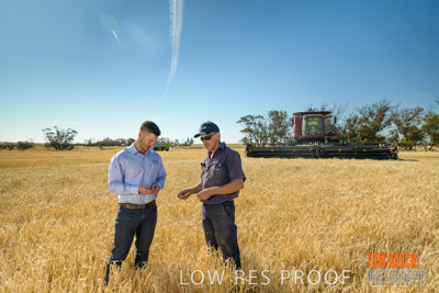 December 2019 / BARLEY_HARVEST_GERANIUM_191210_009