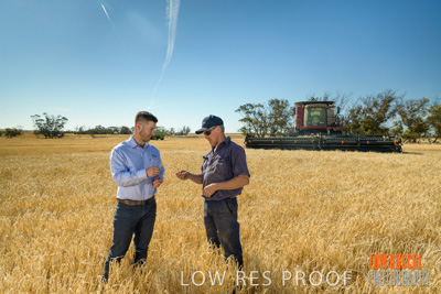 December 2019 / BARLEY_HARVEST_GERANIUM_191210_010