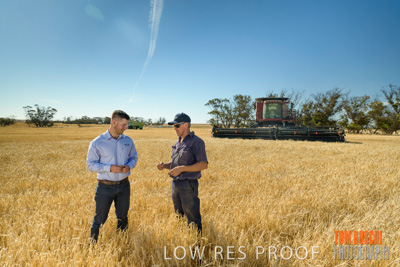 December 2019 / BARLEY_HARVEST_GERANIUM_191210_012