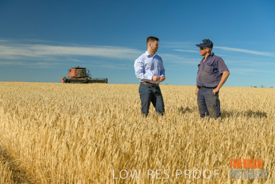 December 2019 / BARLEY_HARVEST_GERANIUM_191210_018