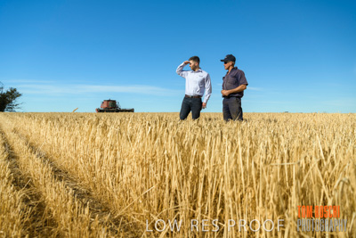 December 2019 / BARLEY_HARVEST_GERANIUM_191210_029