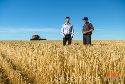 December 2019 / BARLEY_HARVEST_GERANIUM_191210_030
