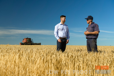 December 2019 / BARLEY_HARVEST_GERANIUM_191210_031