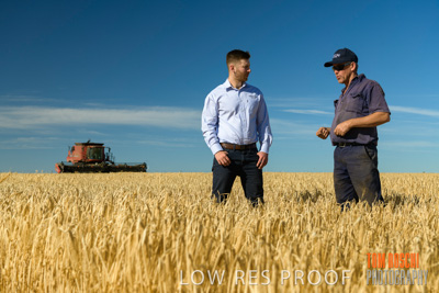 December 2019 / BARLEY_HARVEST_GERANIUM_191210_032