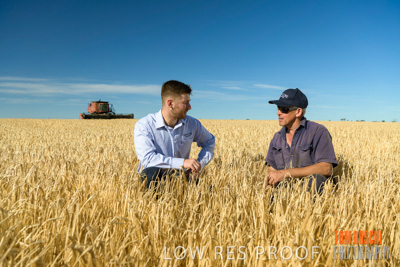 December 2019 / BARLEY_HARVEST_GERANIUM_191210_036