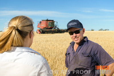 December 2019 / BARLEY_HARVEST_GERANIUM_191210_040