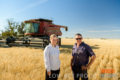 December 2019 / BARLEY_HARVEST_GERANIUM_191210_045