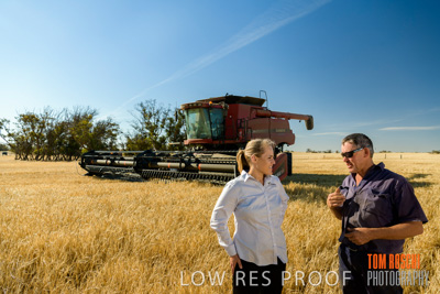 December 2019 / BARLEY_HARVEST_GERANIUM_191210_046