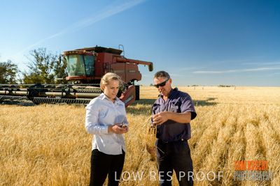 December 2019 / BARLEY_HARVEST_GERANIUM_191210_047