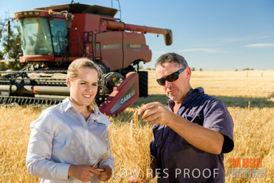 December 2019 / BARLEY_HARVEST_GERANIUM_191210_049