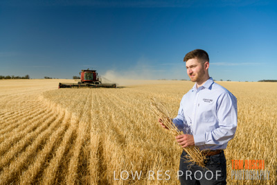December 2019 / BARLEY_HARVEST_GERANIUM_191210_058