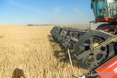 December 2019 / BARLEY_HARVEST_GERANIUM_191210_070