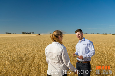 December 2019 / BARLEY_HARVEST_GERANIUM_191210_072