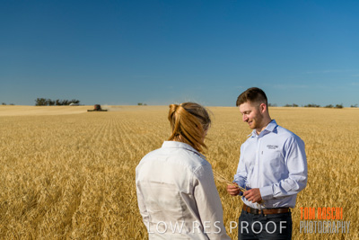 December 2019 / BARLEY_HARVEST_GERANIUM_191210_073