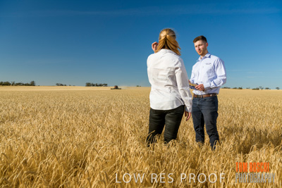 December 2019 / BARLEY_HARVEST_GERANIUM_191210_074