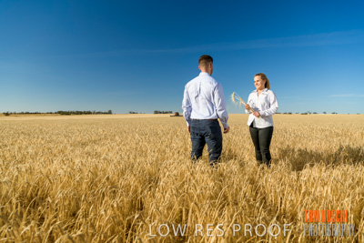 December 2019 / BARLEY_HARVEST_GERANIUM_191210_078