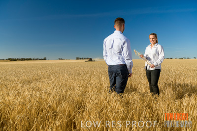 December 2019 / BARLEY_HARVEST_GERANIUM_191210_080