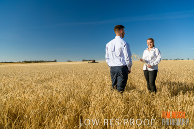 December 2019 / BARLEY_HARVEST_GERANIUM_191210_081