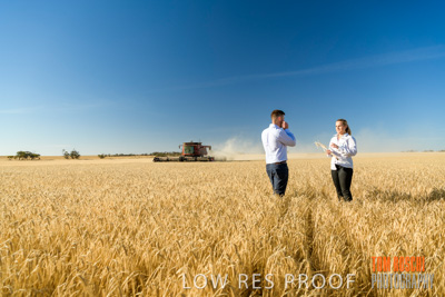 December 2019 / BARLEY_HARVEST_GERANIUM_191210_083