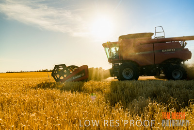 December 2019 / BARLEY_HARVEST_GERANIUM_191210_091