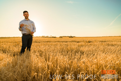 December 2019 / BARLEY_HARVEST_GERANIUM_191210_110