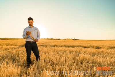 December 2019 / BARLEY_HARVEST_GERANIUM_191210_111