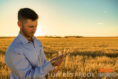 December 2019 / BARLEY_HARVEST_GERANIUM_191210_117