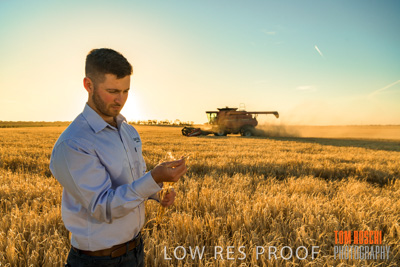 December 2019 / BARLEY_HARVEST_GERANIUM_191210_121